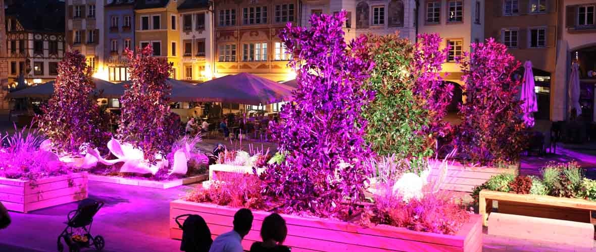 Expo, fête, découverte... Ce week-end, on sort à Mulhouse !