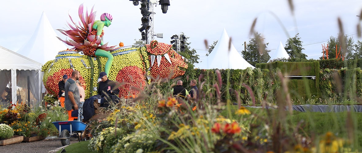 Ce week-end, on sort à Mulhouse !