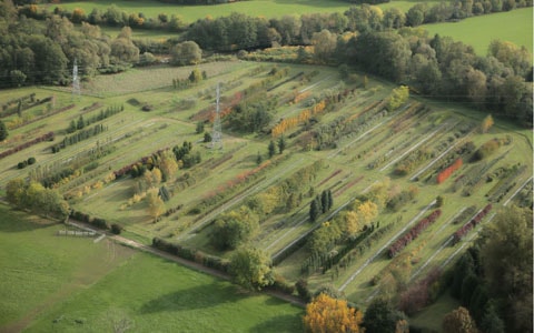 La pépinière en 2003