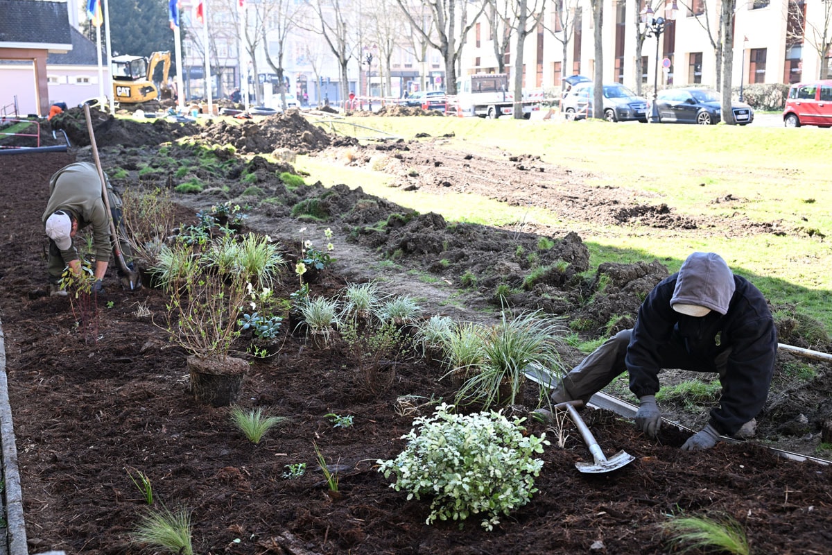 Arbustes, vivaces, plantes aromatiques et comestibles sont en cours de plantation. 