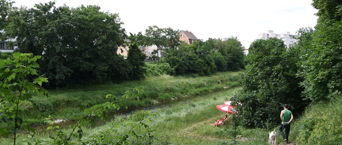 Mulhouse Diagonales est lancé