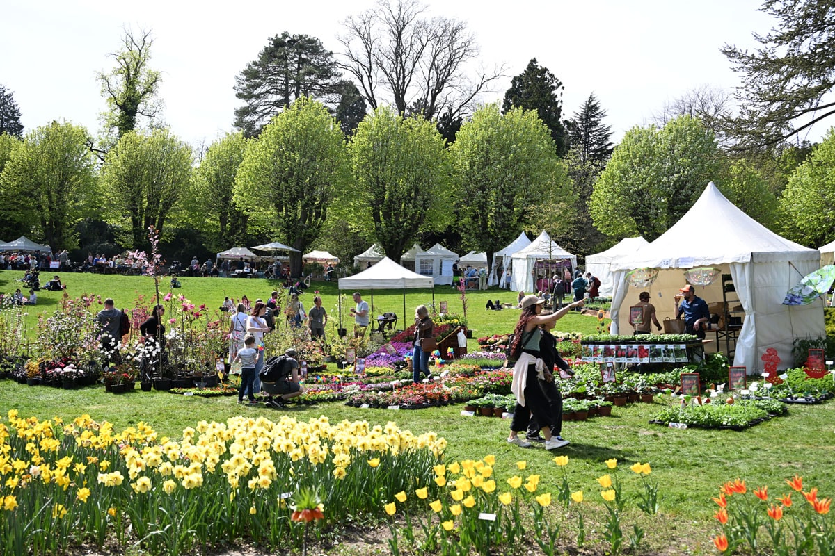 Notre sélection de sorties pour le week-end du 9 au 12 avril 2026, à Mulhouse
