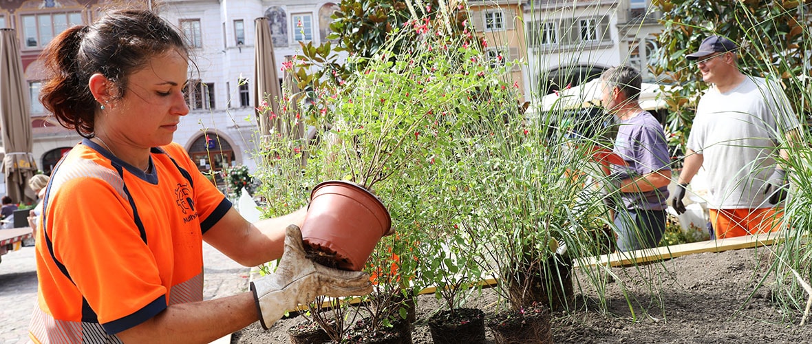 Jardin éphémère : derniers préparatifs avant l’ouverture !