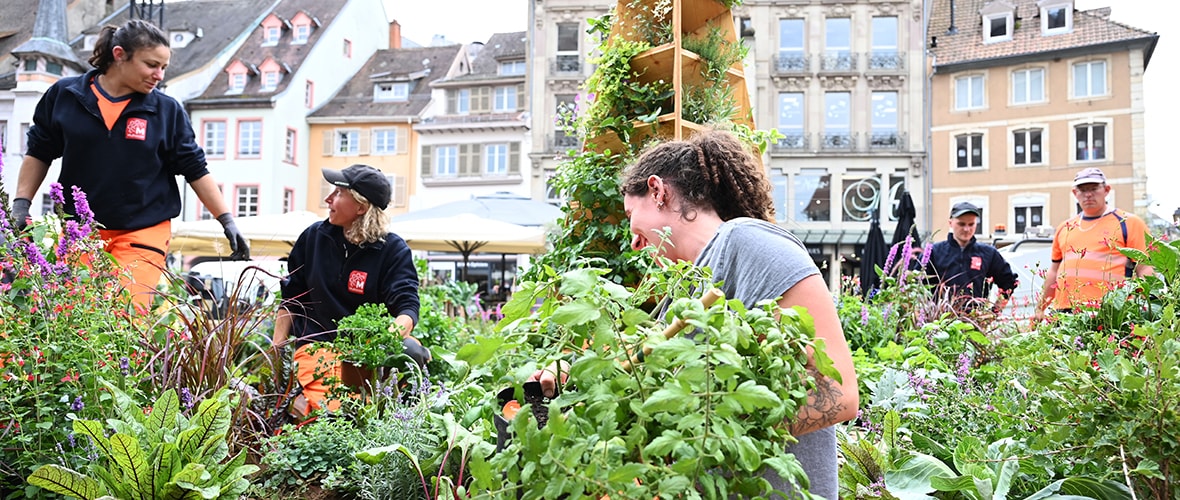 Le Jardin éphémère se met à table