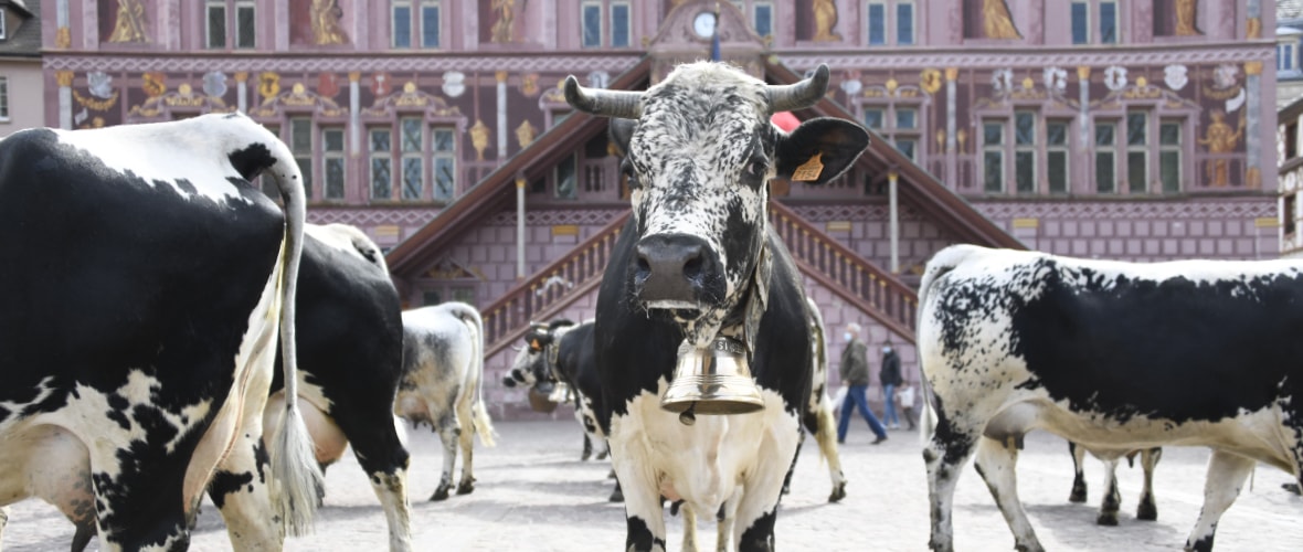 Bienvenue au village animé de Mulhouse, ce week-end !