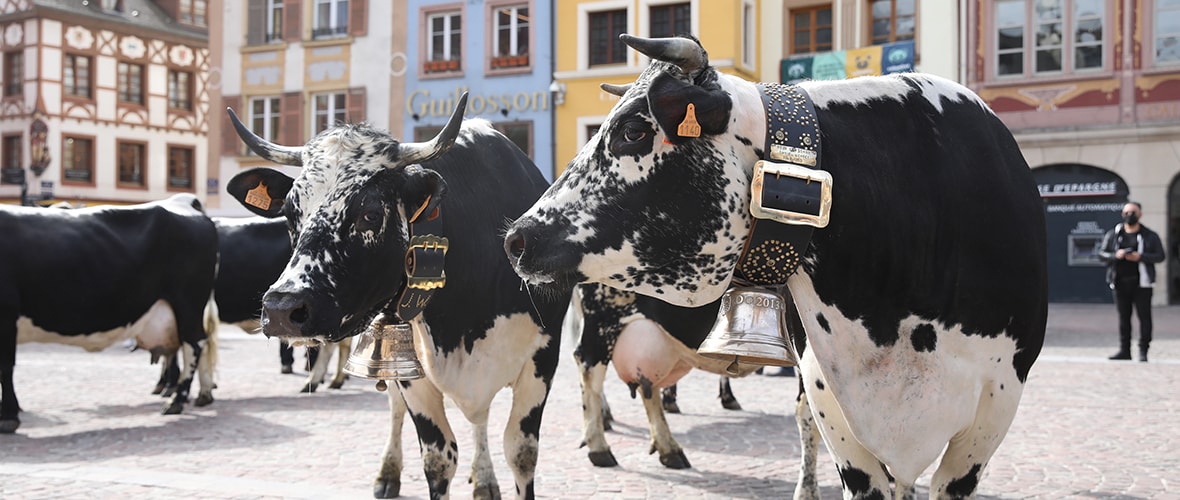 Osterputz : le printemps fait son retour au centre-ville !