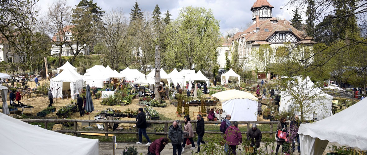 Du Marché aux plantes aux Portes ouvertes du Conservatoire, ce week-end, on sort à Mulhouse !