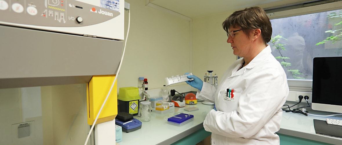 IRHT : le projet DiaBioLiq pour mieux dépister les cancers cérébraux
