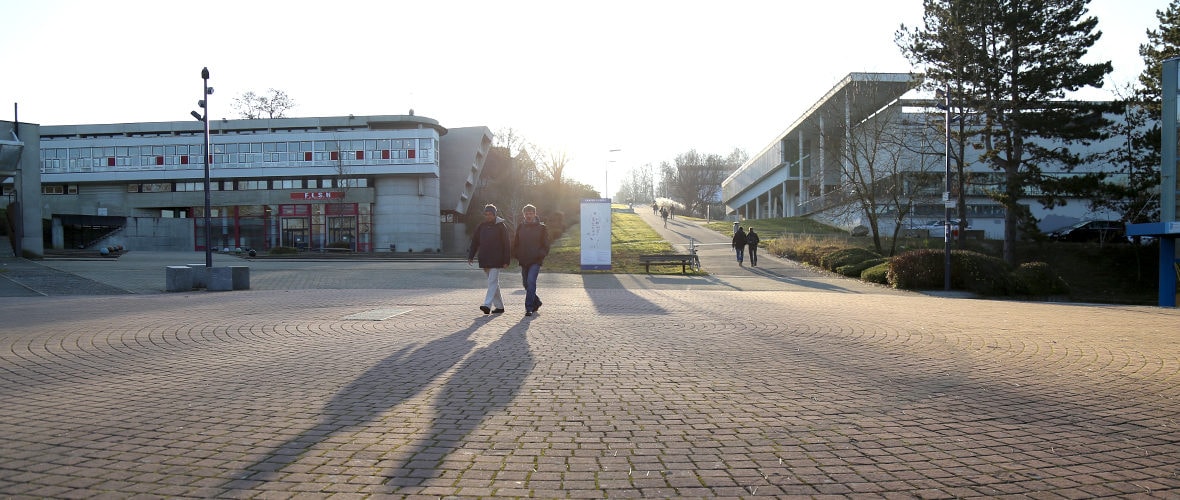 Université : « Proposer une offre large et complémentaire de formation »