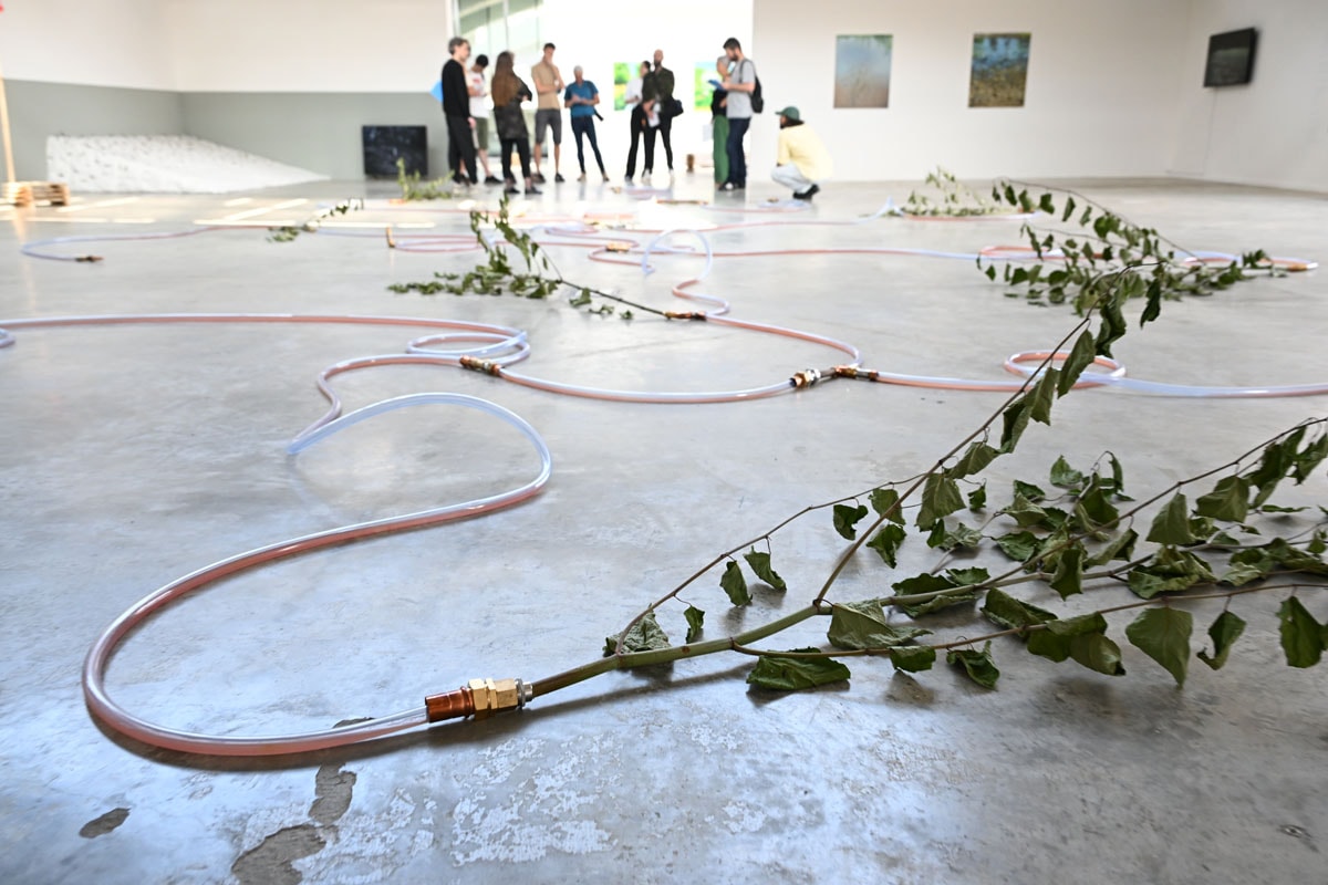 « Déborder la rivière » : l’Ill au cœur de la nouvelle exposition de La Kunsthalle