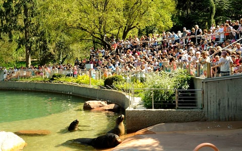 Zoo, musées, Office de tourisme, restaurants... Les bons plans sont partout.
