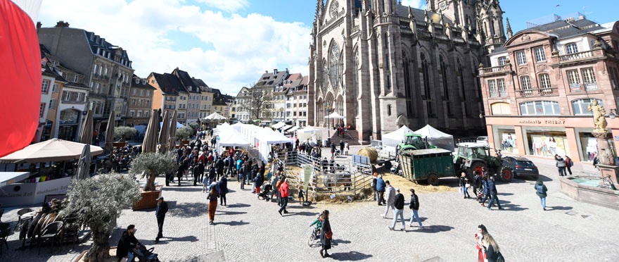 Le marché de printemps se tiendra, ce samedi 23 mars, place de la Réunion.