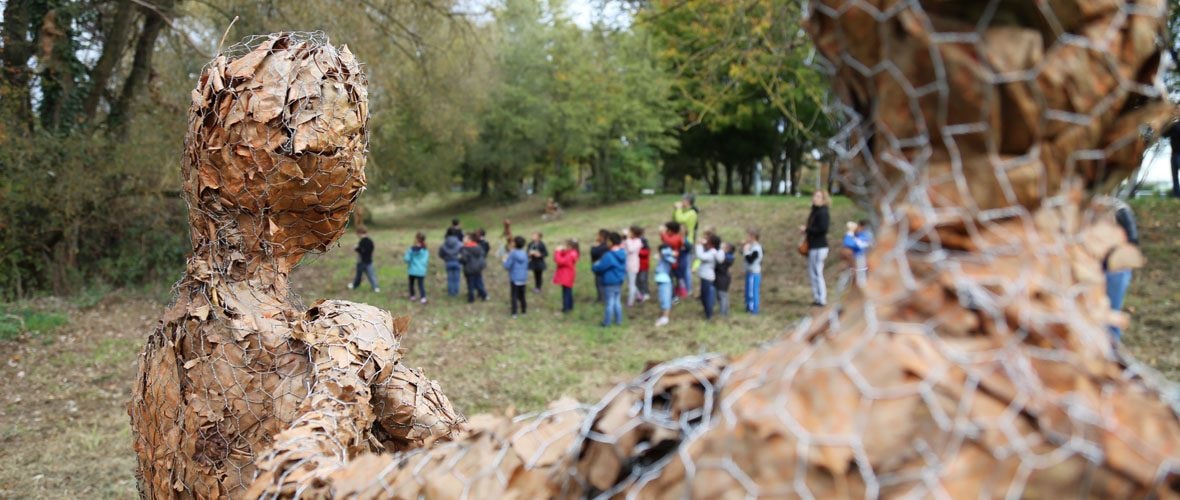 A la rencontre des mystérieux Pheuillus