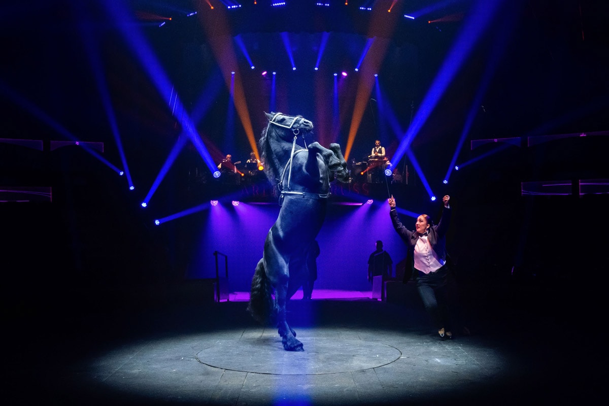 Laura-Maria Gruss : « Avec le cirque Arlette Gruss, on essaye, depuis 40 ans, de faire toujours mieux ! »