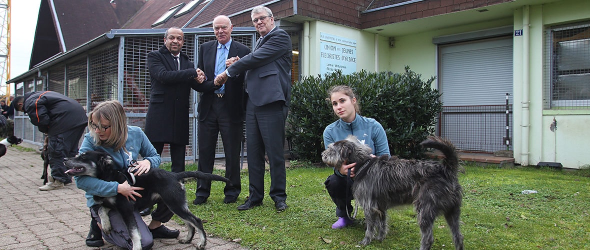 SPA : une convention pour les animaux voyageurs