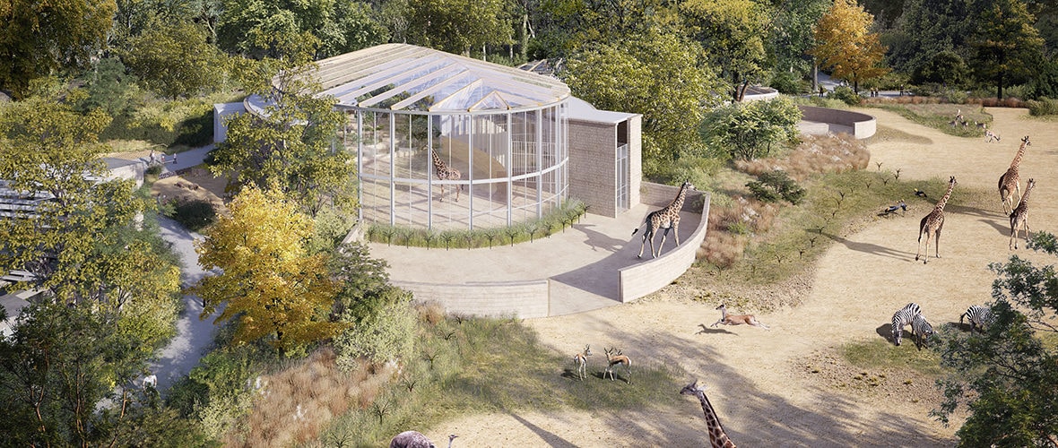 Le zoo à l’heure africaine d’ici 2021