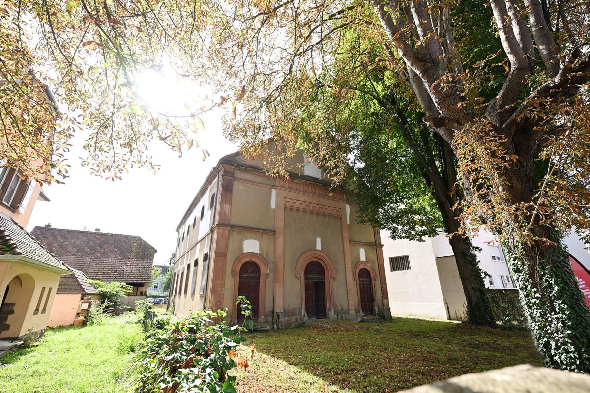 A l'extérieur de la synagogue, les trois arbres présents sur la parcelle sont protégés.