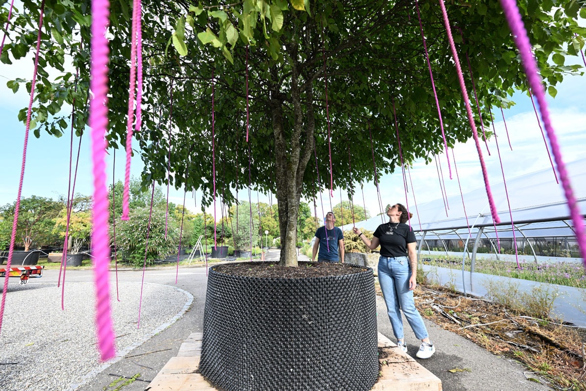Jardin éphémère : ça se prépare, en coulisses