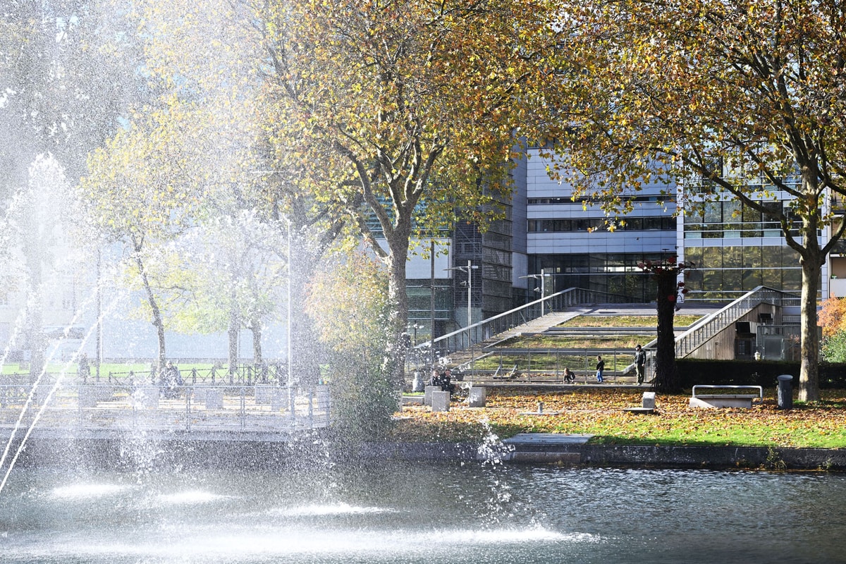En photos : l'automne s'installe à Mulhouse