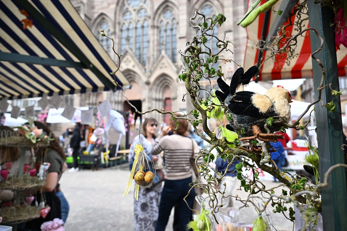 Notre sélection de sorties à Mulhouse pour le week-end du 26 au 29 mars