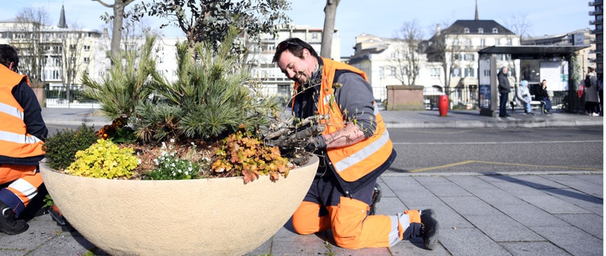 Le fleurissement, une vitrine du savoir-faire du service Nature et Espaces verts.
