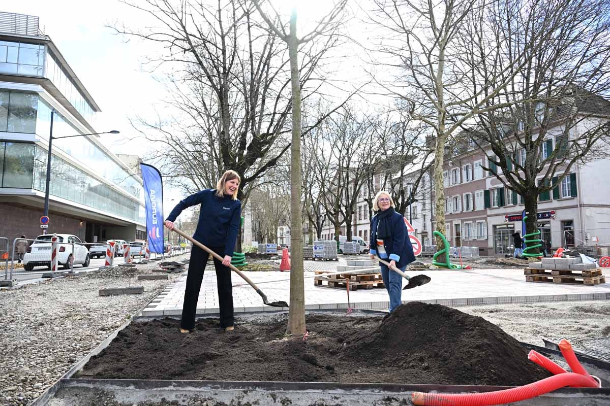 Le maire de Mulhouse, Michèle Lutz et Mathilde Flauss de chez Enedis ont symboliquement planté un micocoulier occidental, boulevard Roosevelt. 