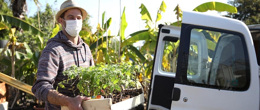 A l'image du Bel Air, les huit centres sociaux de Mulhouse sont venus récupérer les plants de tomates dans les serres municipales.