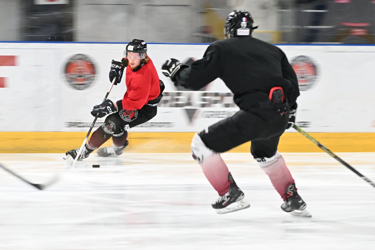 Scorpions : le carré final des play-offs à Mulhouse, ce week-end