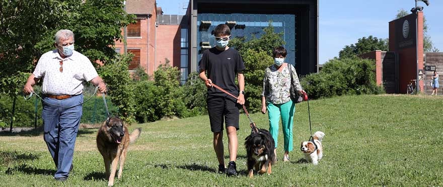 Le service de garderie pour chiens est installé devant la Cité de l'auto.