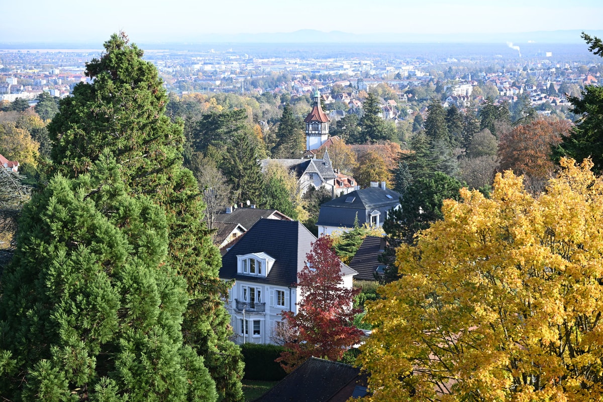 En photos : l'automne s'installe à Mulhouse