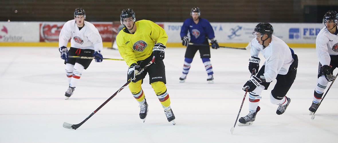 Scorpions : objectifs play-offs et plus si opportunités