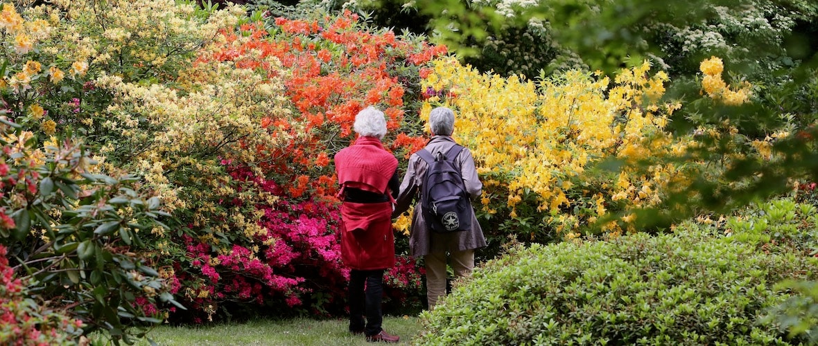 Carte Pass’Temps : l’incontournable alliée des seniors