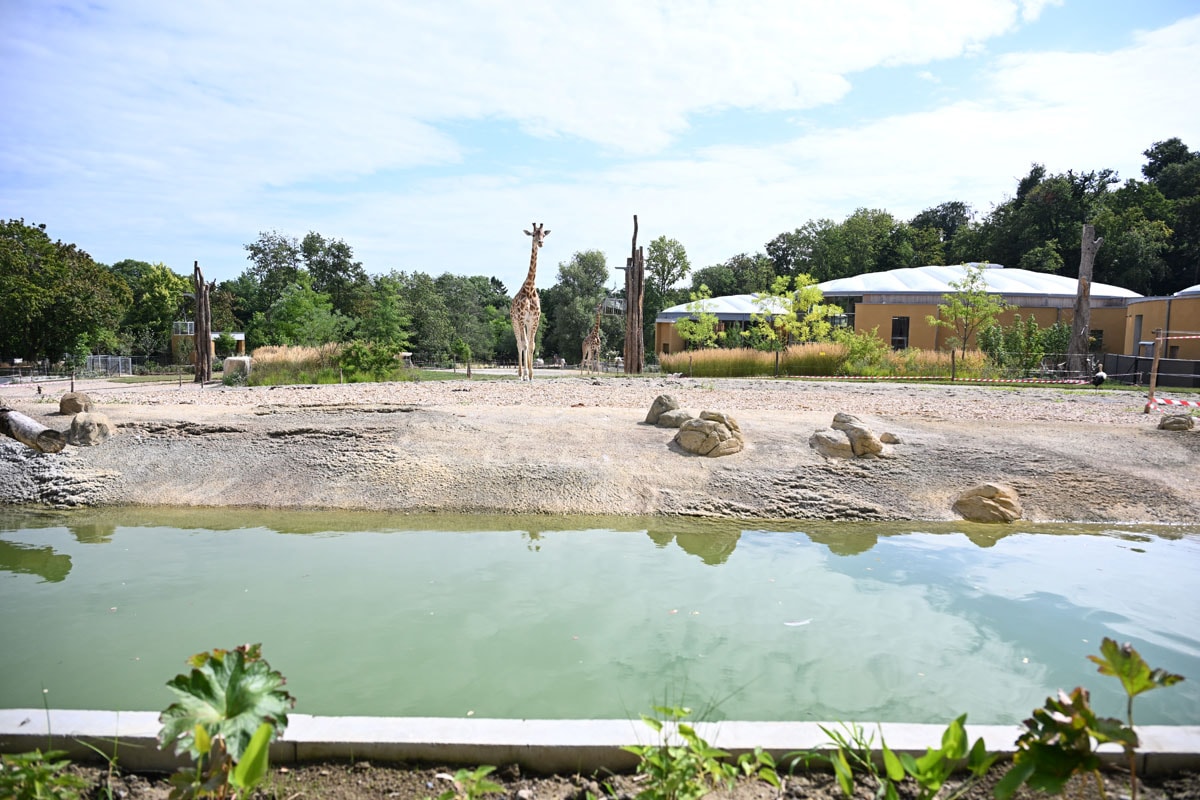Espace extérieur d'horizon afrique