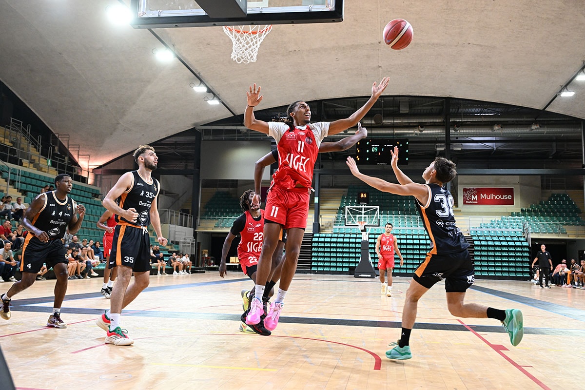 Vendredi à 20h, les Mustangs reçoivent Lyonso au Palais des sports.
