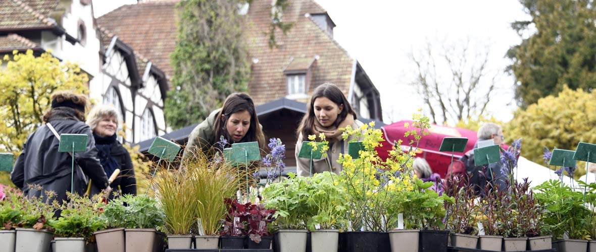 Du Marché aux plantes au Vide dressing des copines… Ce week-end, on sort à Mulhouse !
