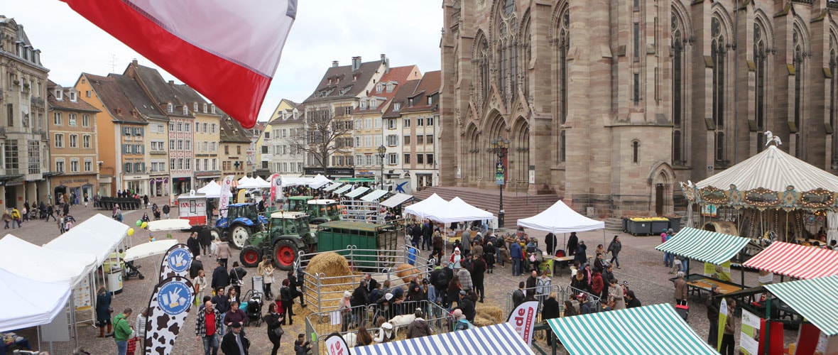 Du Marché de Pâques au Marché aux plantes… Ce week-end, on sort à Mulhouse !