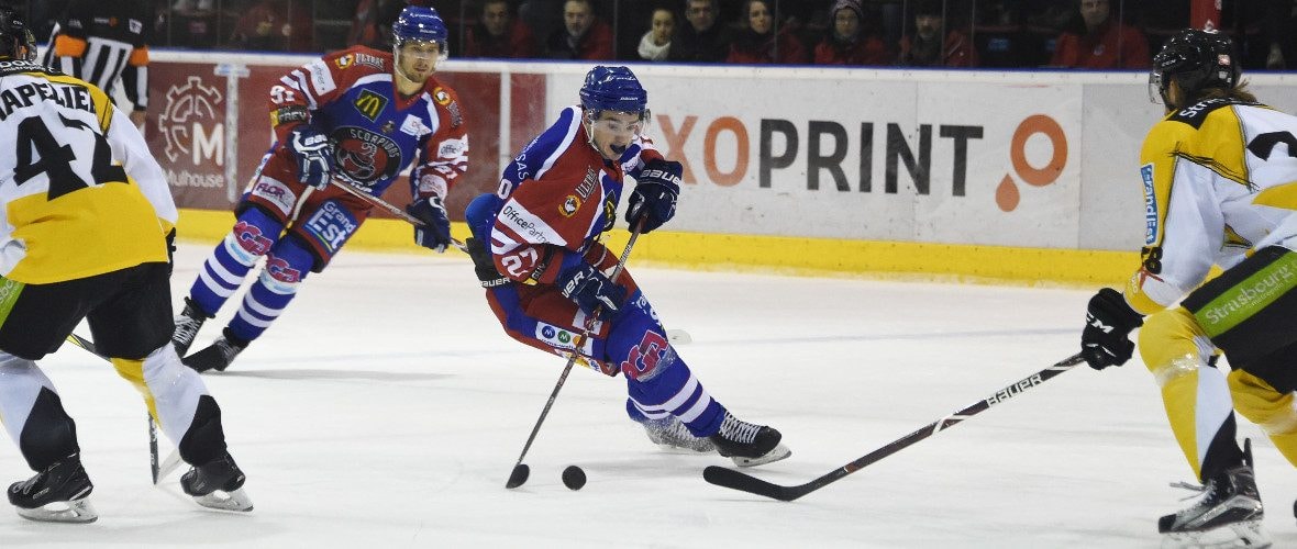 Scorpions : objectif maintien en Ligue Magnus !