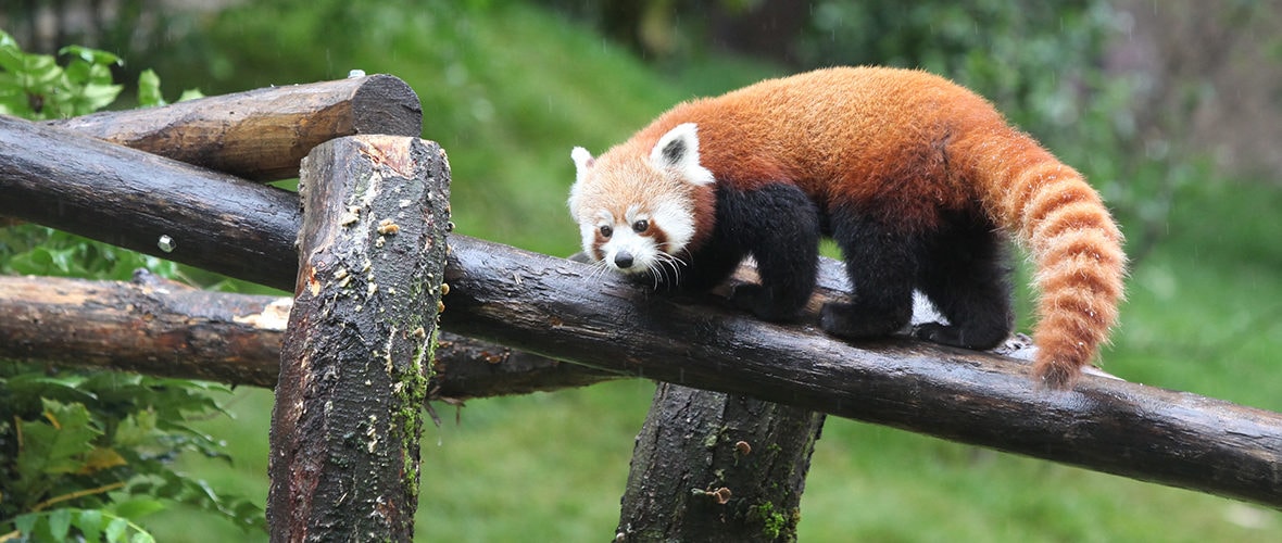 Ce week-end, on sort !