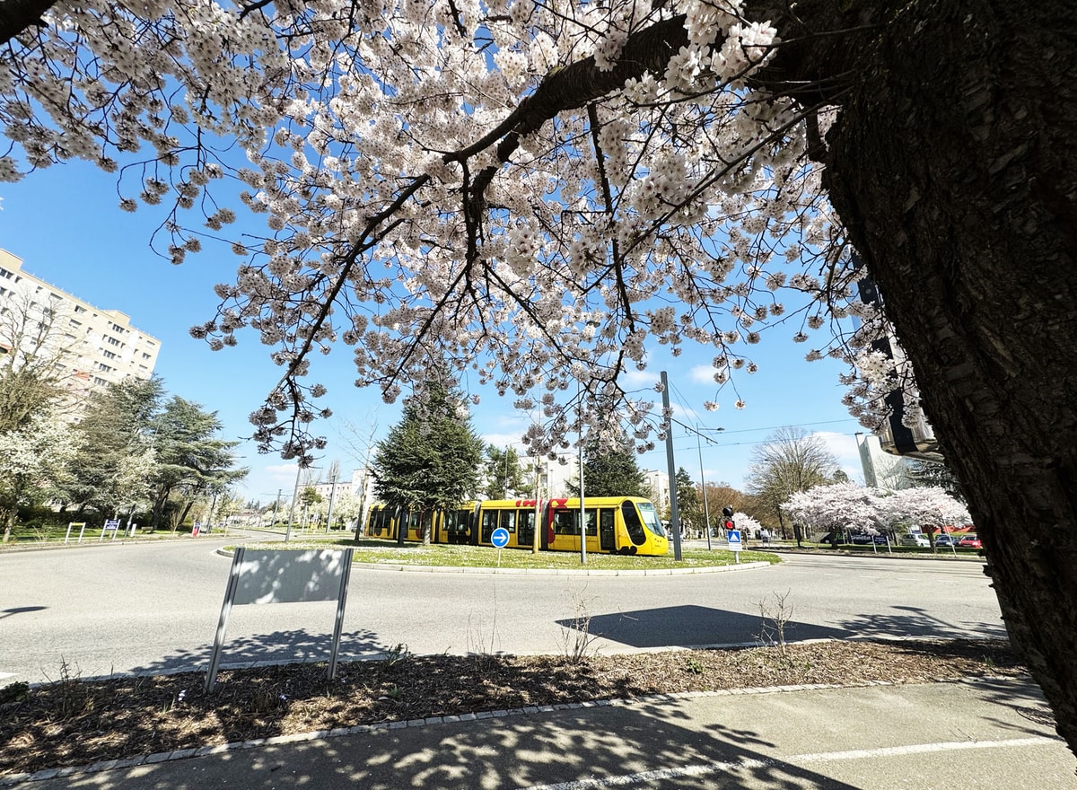 En photos : le printemps 2025, à Mulhouse