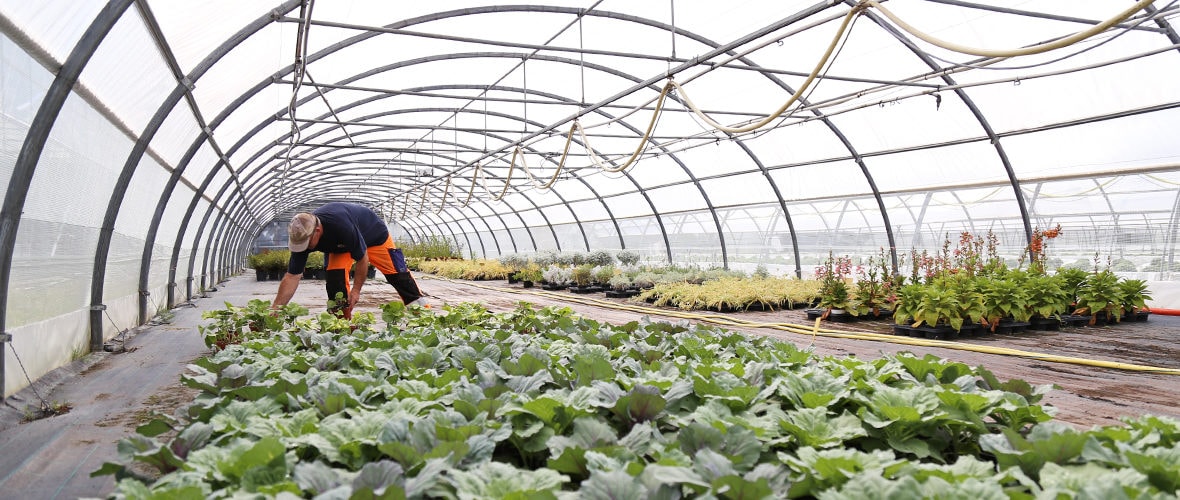 Espaces verts : un service aux petits soins