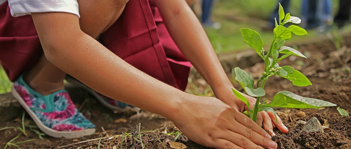 Jardiner c’est bien, sans pesticides c’est encore mieux !