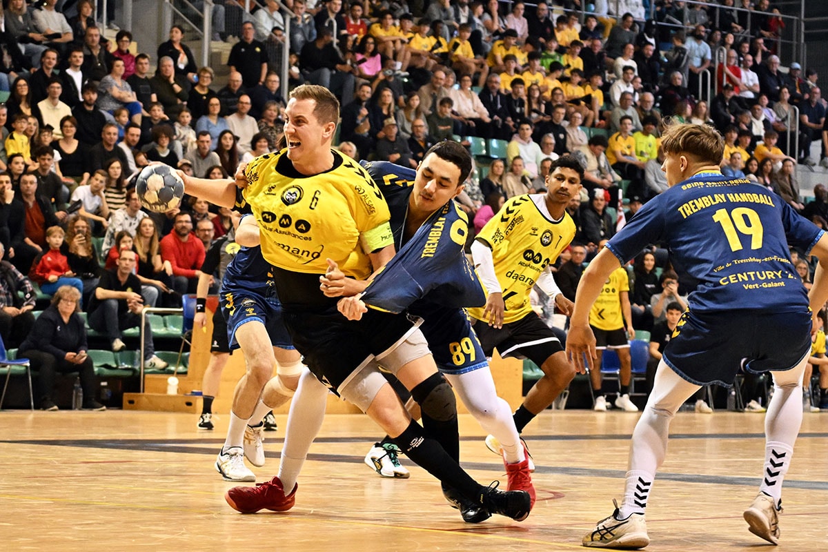 Les Loups de l'ASPT Mulhouse/Rixheim visent le haut du tableau cette saison.