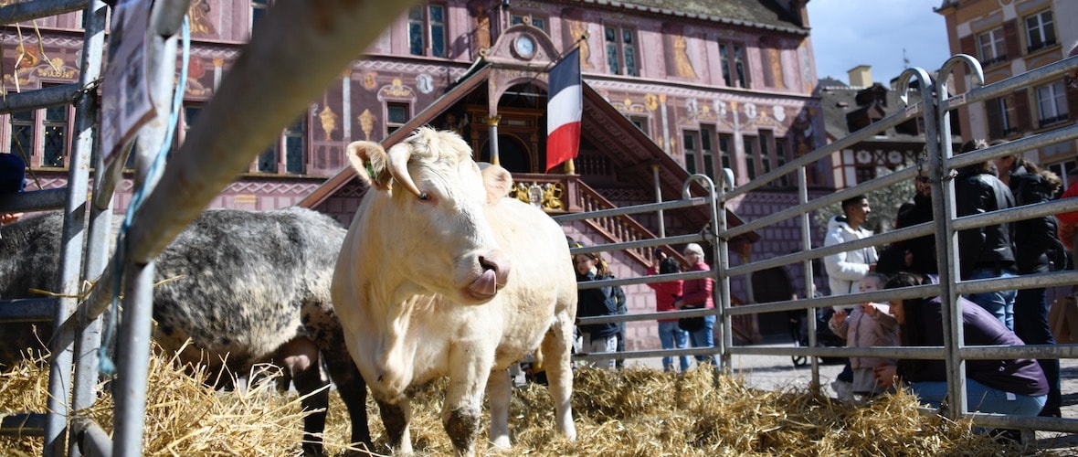 Osterputz : Mulhouse fête le printemps