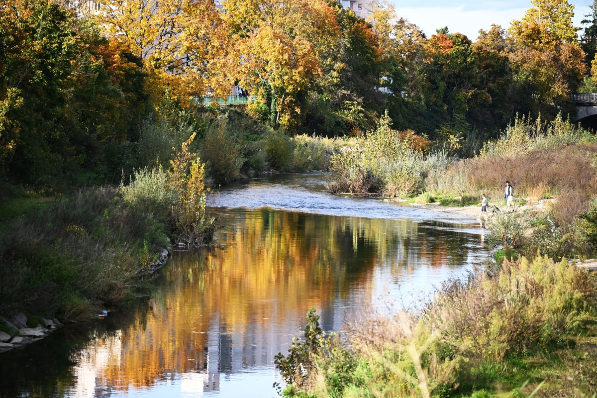 En photos : l'automne s'installe à Mulhouse