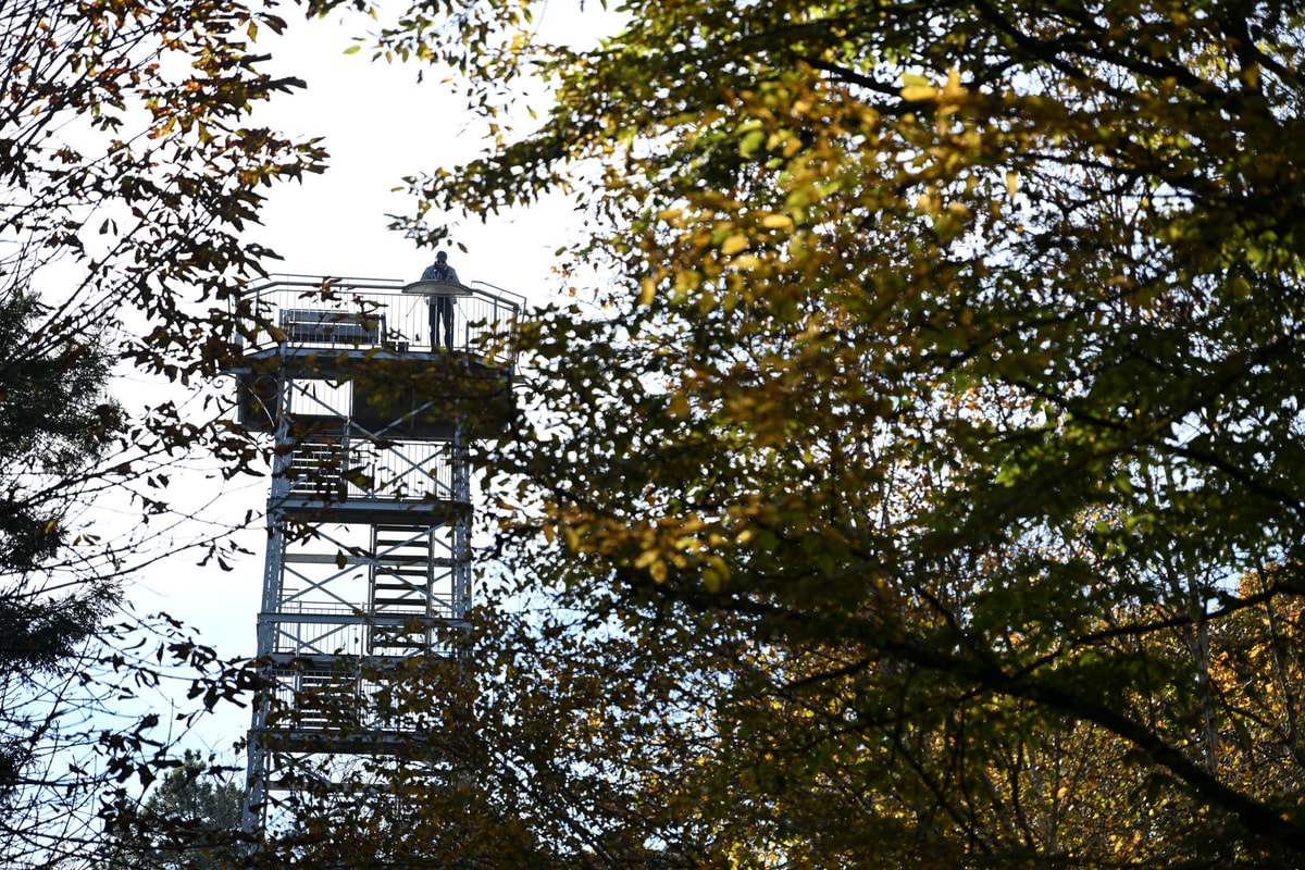 En photos : l'automne s'installe à Mulhouse