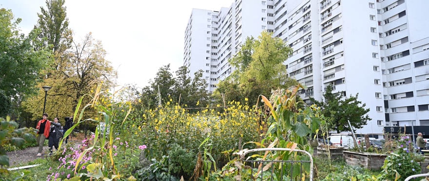 Un projet d'agriculture urbaine va voir le jour sur une parcelle de 3 000 m².