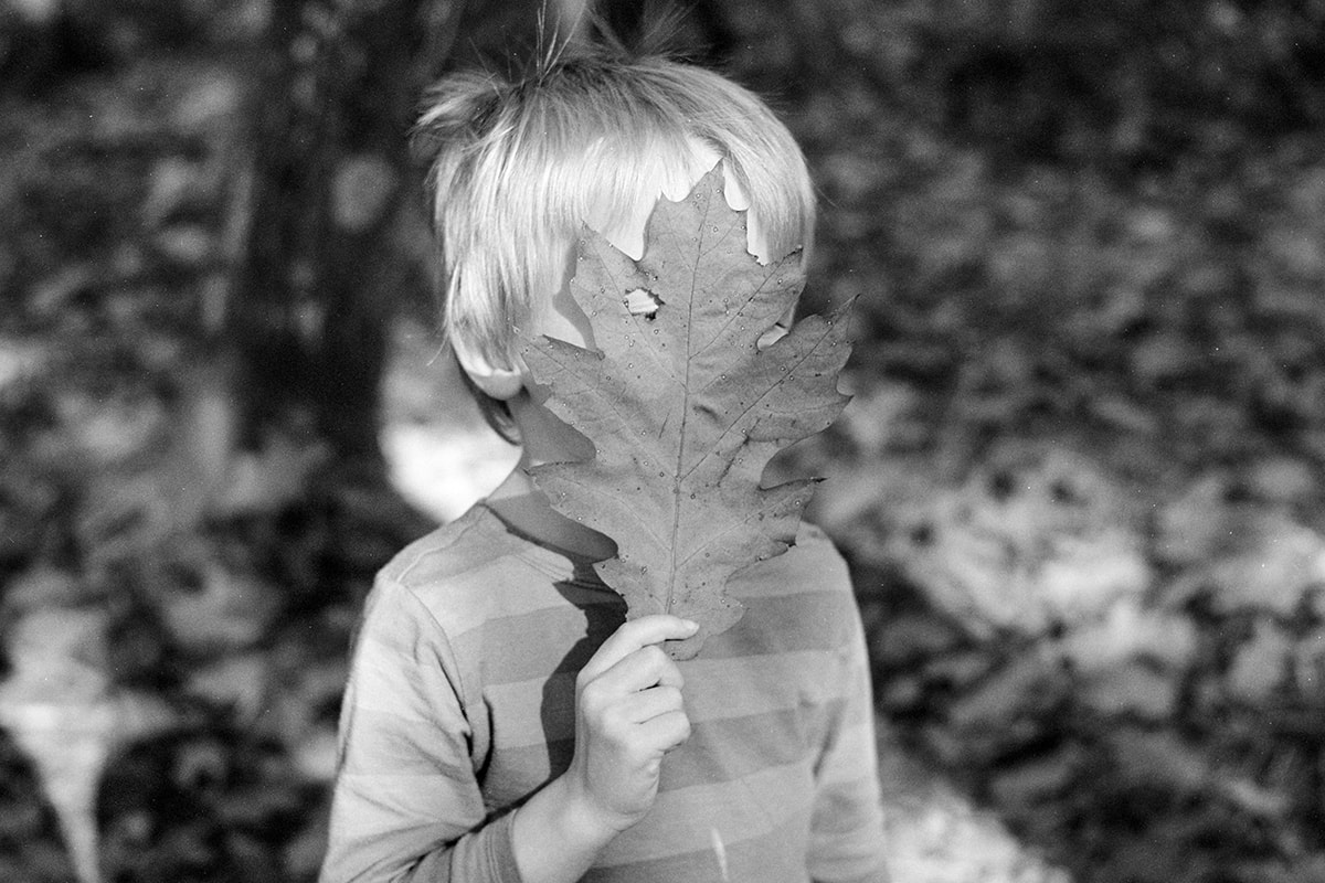 L'exposition de Pascal Bastien est visible jusqu'au dimanche 1er mars à La Filature.