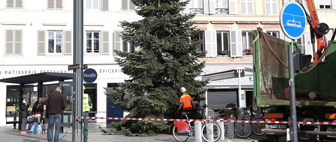 Deux sapins pour un Noël différent