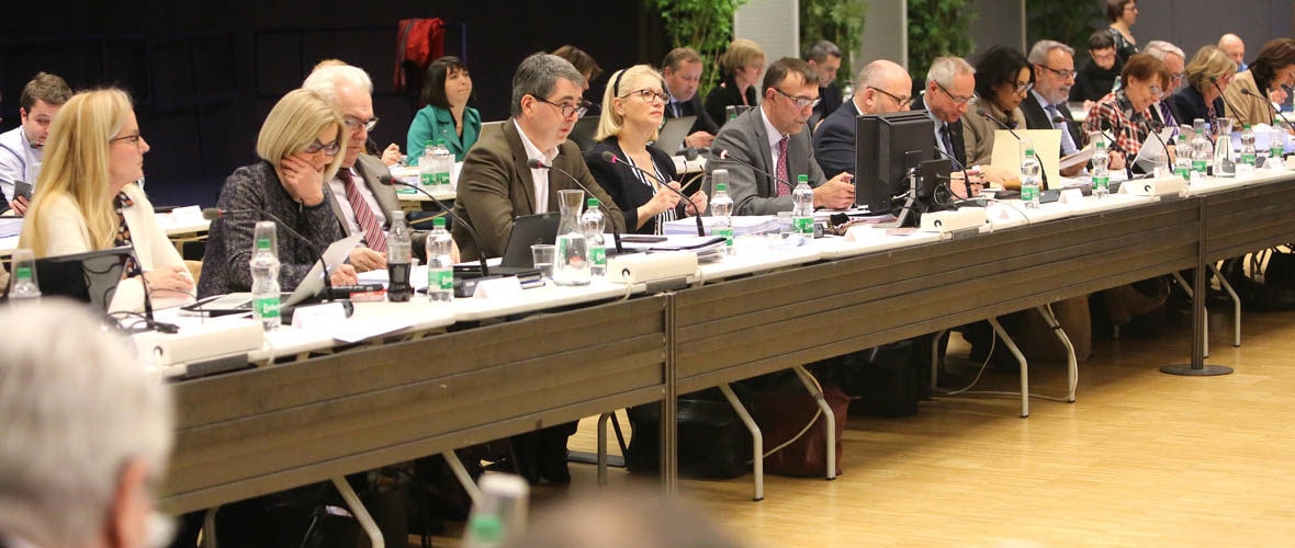 L’essentiel du conseil municipal de Mulhouse