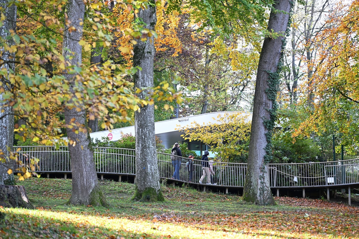 En photos : l'automne s'installe à Mulhouse